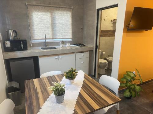 a kitchen with a wooden table with plants on it at Aqui es 6! in Banfield