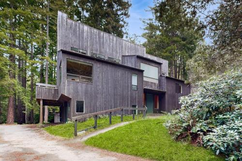 a wooden house in the middle of a forest at Tree House in Sea Ranch