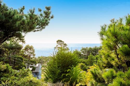 a view of the ocean through the trees at Shangri-lala in Gualala