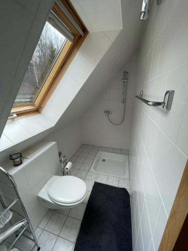 a small bathroom with a toilet and a window at Ferienwohnung Menz Liliensteinblick in Pfaffendorf