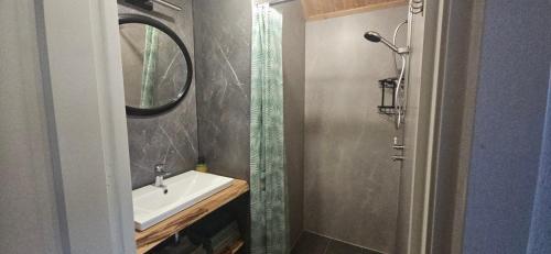 a bathroom with a sink and a shower with a mirror at Spekenbrink-Haaksbergen in Haaksbergen
