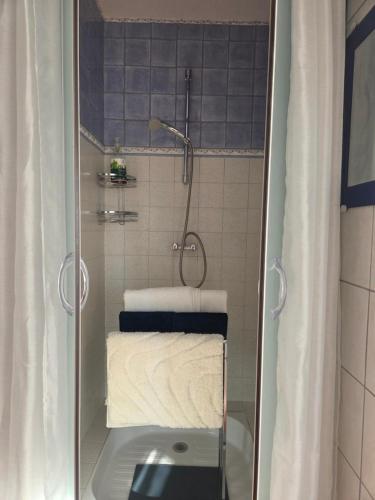 a bathroom with a shower with a white towel at Aurelia Verdon in Angles
