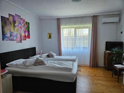 a bedroom with two beds and a window at Casa Teonia in Tăşnad