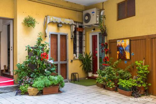 Un bâtiment avec une bande de plantes devant lui dans l'établissement Central Hostel Milano, à Milan