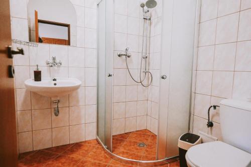 a bathroom with a shower and a toilet and a sink at Penzion U Kmotra in Borovany