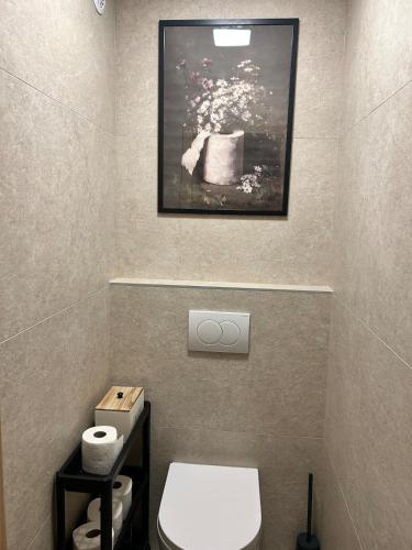 a bathroom with a toilet and a picture on the wall at Apartma Prospera - free parking in Maribor