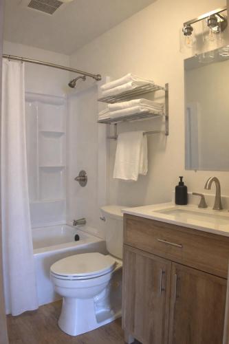 a bathroom with a toilet and a tub and a sink at The Cabins at Riptide Resort in Seward