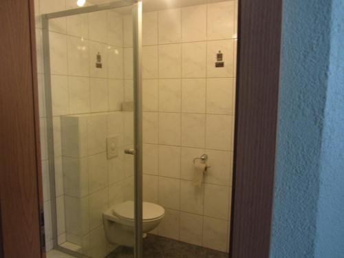 a bathroom with a toilet and a glass shower at Hotel Gasthof Pension Riebel in Etzenricht