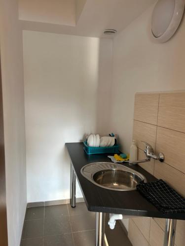 a small kitchen with a sink and a counter at Ekomarina - Pokój noclegowy 1 in Węgorzewo