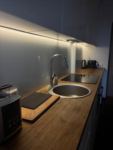 a kitchen with a sink and a counter with a sink at Cosy Newtown apartment in Vilnius