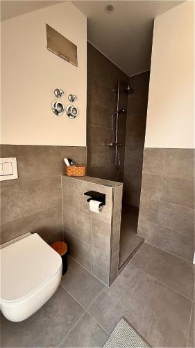 a bathroom with a toilet and a shower at Dachwohnung mit Südbalkon Sauna und Strandkorb in Mühlhausen