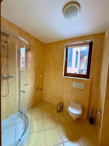 a bathroom with a shower and a toilet and a window at JustInRent Family Szpitalna 4D-3 in Legnica