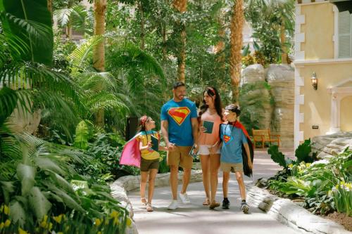 Gaylord Palms Resort & Convention Center photo 78