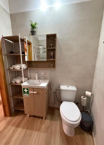 a small bathroom with a toilet and a sink at Casa das Flores in Sardoal