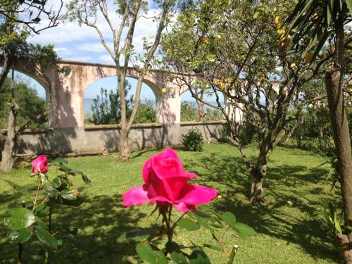 a pink flower in front of a bridge at La rosa dei venti in Procida