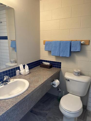 a bathroom with a white toilet and a sink at Saddle Mountain Lodge in Blue River
