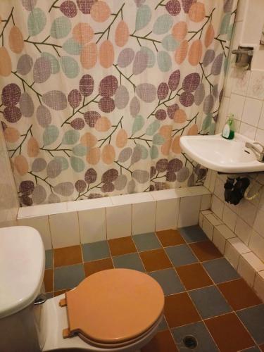 a bathroom with a toilet and a sink at La Casa del Manzano in Puno