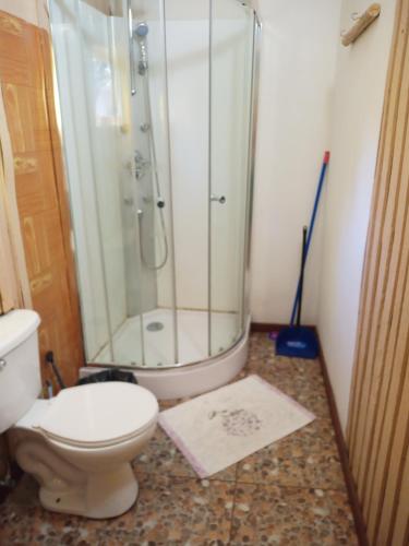 a bathroom with a toilet and a shower in it at Cabañas Mantilhue Puyehue in Mantilhue