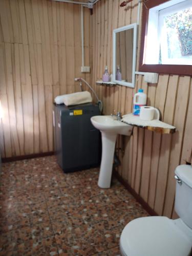 a bathroom with a sink and a toilet and a mirror at Cabañas Mantilhue Puyehue in Mantilhue