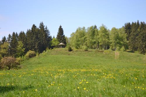 a field of grass with a gazebo on a hill with flowers at Ferienwohnung Pusteblume in Wildemann