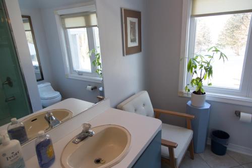 a bathroom with a sink and a mirror and a toilet at Gypsy by the Lake Bed and Breakfast in Sutton