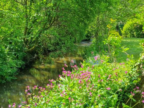a stream with trees and flowers in a park at Bluebell in Saint Ewe