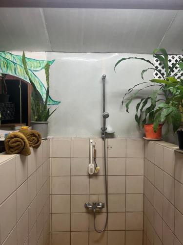 a shower in a bathroom with plants on the wall at Chalet Avapeihi in Fitii