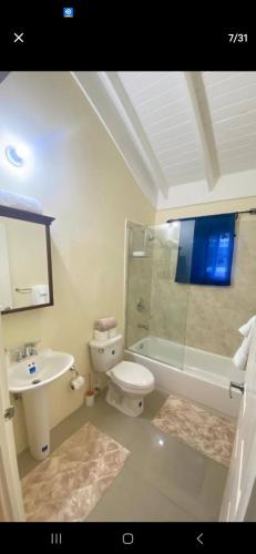 a bathroom with a sink and a toilet and a shower at Serenity Vacation Villa in Ocho Rios