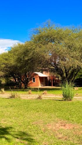 a house under a large tree in a field at El Joaquin in Nono