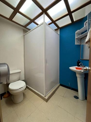 a bathroom with a shower and a toilet and a sink at Alojamiento Artemisa in Mexico City