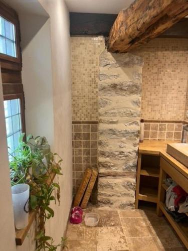 a bathroom with a stone wall with a shower at L'impasse de la courtasse in Sainte-Énimie