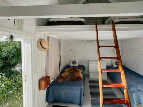 a dog laying on a bed in a tiny house at Historic Cabin By Landsort Lighthouse in Nynäshamn