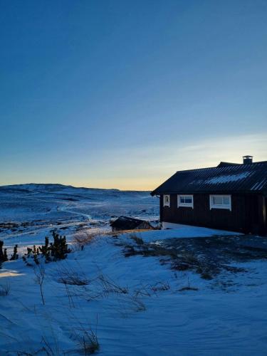 a house in the snow next to a field at Renovated Mountain Cabin With Mountain Views in Al