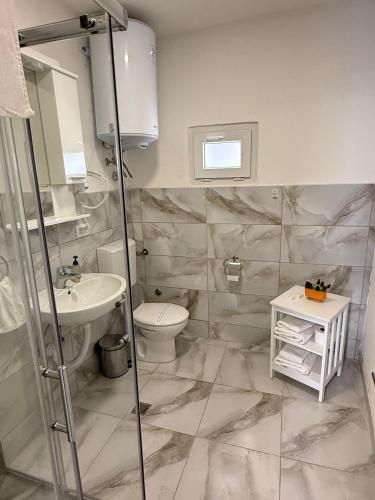 a bathroom with a toilet and a sink at Olive Depadance in Mostar