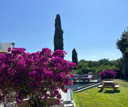 a bush of purple flowers in a yard with a bench at Villa Danai in Gouvia