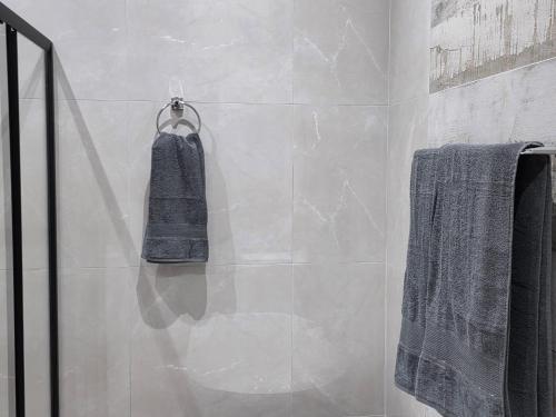 a bathroom with a towel hanging on a wall at VnA Executive Suites in Pretoria