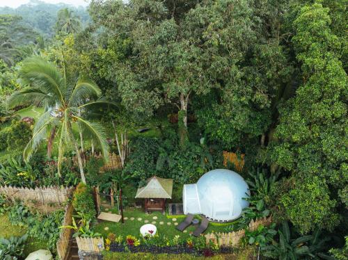a garden with a small house and a tree at Bubble 6 - Romantic Bath Bubble Stay Ubud in Tampaksiring