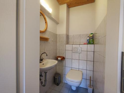 a small bathroom with a toilet and a sink at Ferienwohnungen am Schwanensee in Plön