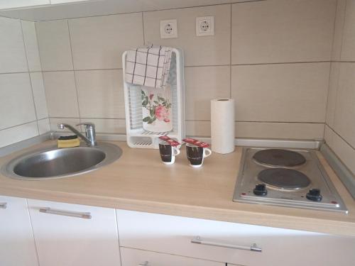 a kitchen counter top with a sink and a sink at Vila Cezar in Gornja Toplica