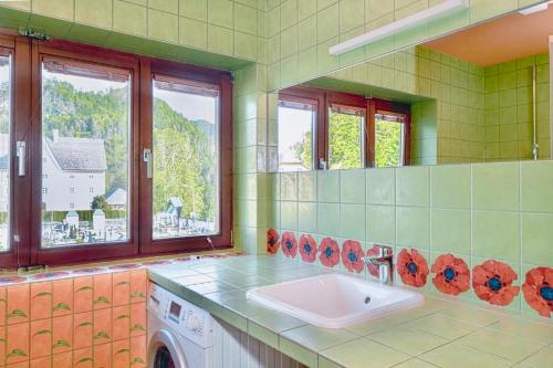 a bathroom with a sink and a mirror at Hobel`s Home in Wildalpen