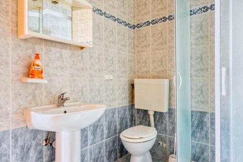 Apartment Vesna 1 with terrace