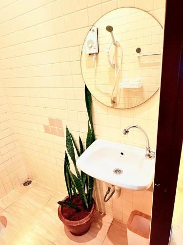 a bathroom with a sink and a mirror and a plant at Amazing beach apartment Phuket in Phuket