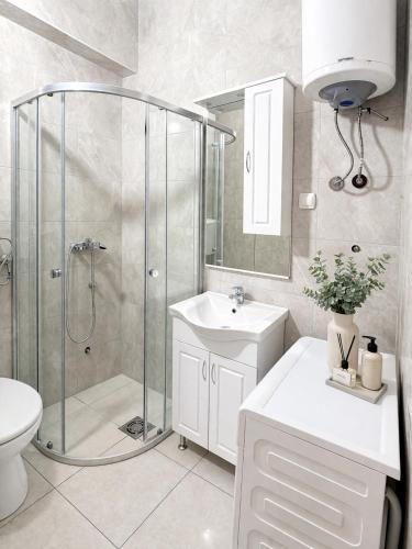 a bathroom with a shower and a sink and a toilet at Apartments Zenit in Kotor
