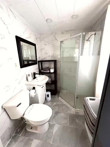 a bathroom with a toilet and a sink and a shower at Sutaz Ocean Side Home in Port Dufferin
