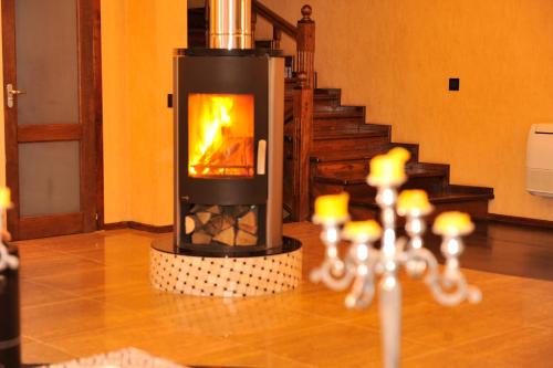 a fireplace in a living room with a fire at Villa de Jardin in Svyatopetrivske