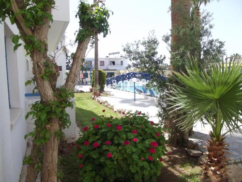 a garden with pink flowers and a bridge in the background at Kefalonitis Hotel Apartments in Paphos City