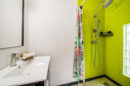 a green bathroom with a sink and a shower at La Mezina in Saint-Joseph