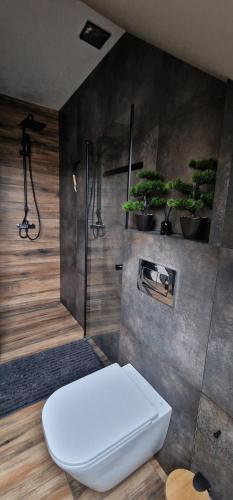 a bathroom with a toilet and a shower with plants at Cudodomek SPA Loft koło Ełku in Ełk