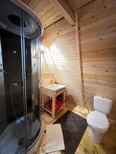 a bathroom with a shower and a toilet and a sink at Gesteruv in Sheshory