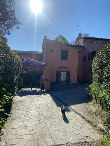 La camera nel verde